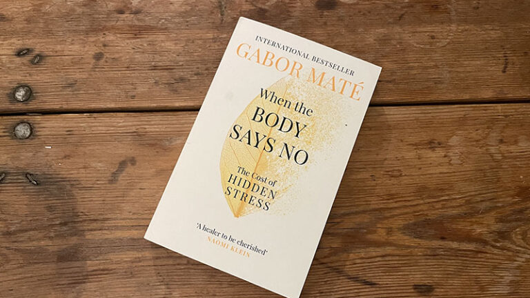 The cover of When the body says no by gabor maté